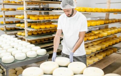 Cómo hacer queso fresco en casa