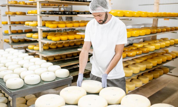 Cómo hacer queso fresco en casa