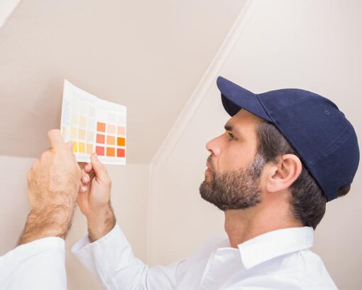 master-en-maestro-artesano-en-pintura-decorativa-en-la-construccion